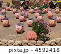 はままつフラワーパーク・動物の鉢植えたち