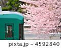 京阪電車　13001　宇治線　観月橋　桜