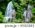 白水の滝