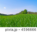 4596666