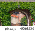 4596829