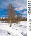 4596869