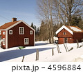 4596884