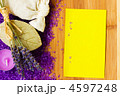 4597248
