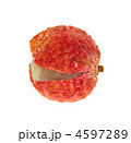 4597289