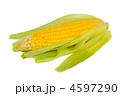 4597290