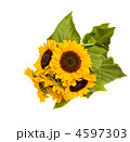 4597303