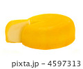 4597313