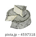 4597318