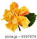 4597674