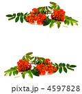 4597828