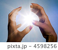 4598256