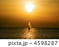 4598287