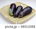 茄子