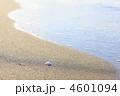 波打ち際-砂浜と貝殻