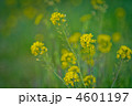 草むらと葉の花