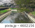 見沼田圃・見沼代用水東縁