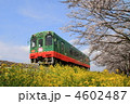 4602487