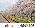 4602496