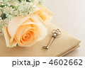 薔薇
