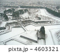 4603321