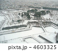 4603325