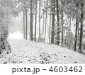 雪の林道