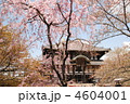 桜･東大寺の大仏殿（奈良県奈良市）