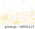 4604113