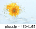4604165