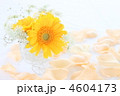 4604173