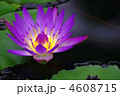 覚醒