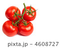 4608727