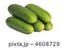 4608729