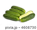 4608730