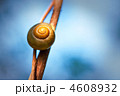 4608932