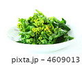 菜の花のお浸し
