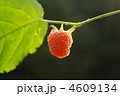 4609134
