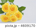 黄色い薔薇の花束