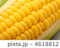 4618812