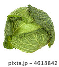 4618842