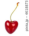4618873