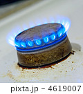 4619007