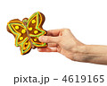 4619165
