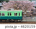 京阪電車　2620　宇治線　観月橋　桜3