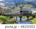 4620302
