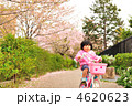 娘のサイクリング８