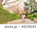 娘のサイクリング２