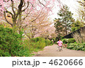 娘のサイクリング