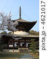 和歌山県根来寺の春